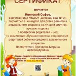 Дроздова М.А._сертификат лучшая поделка